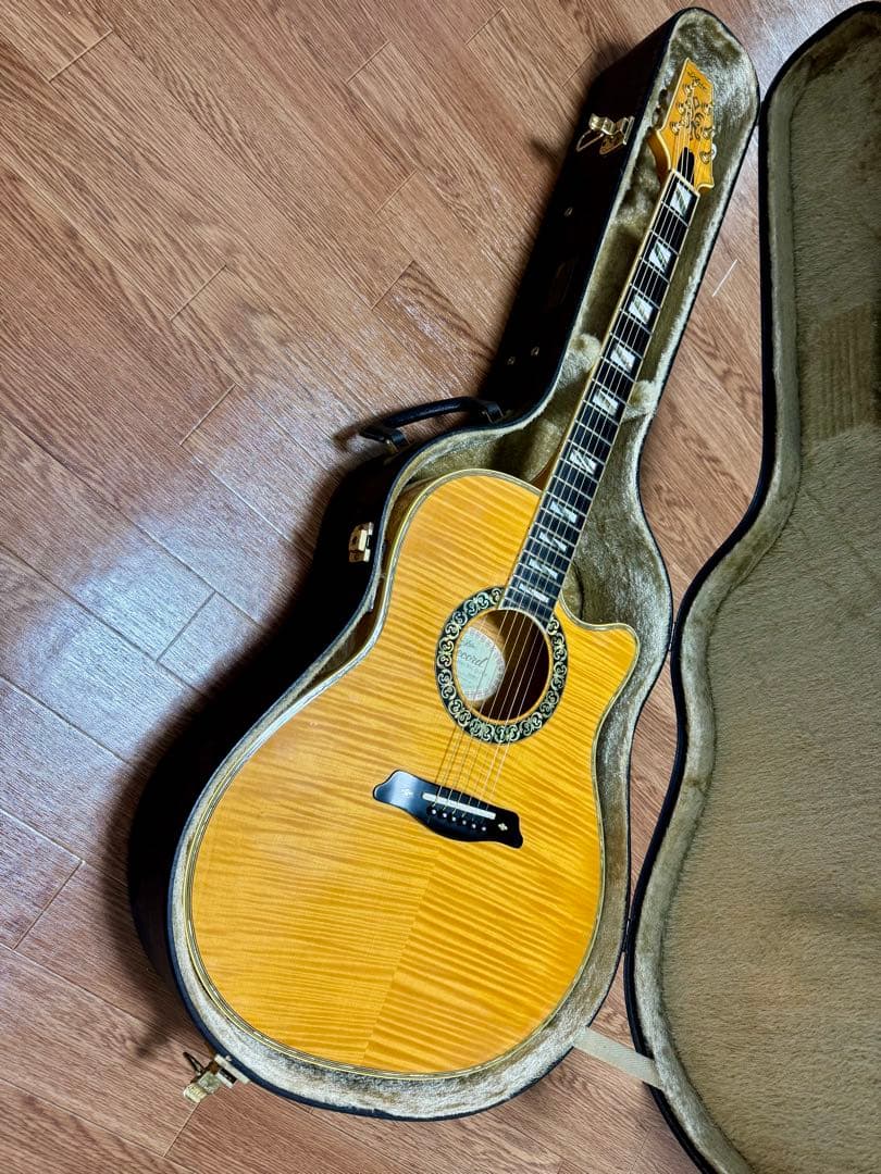 ギター Aria Elecord FEA-120