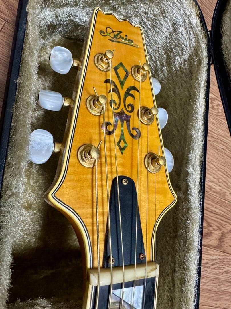 ギター Aria Elecord FEA-120