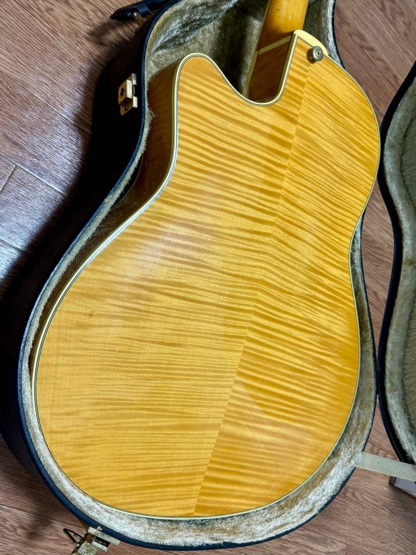 ギター Aria Elecord FEA-120