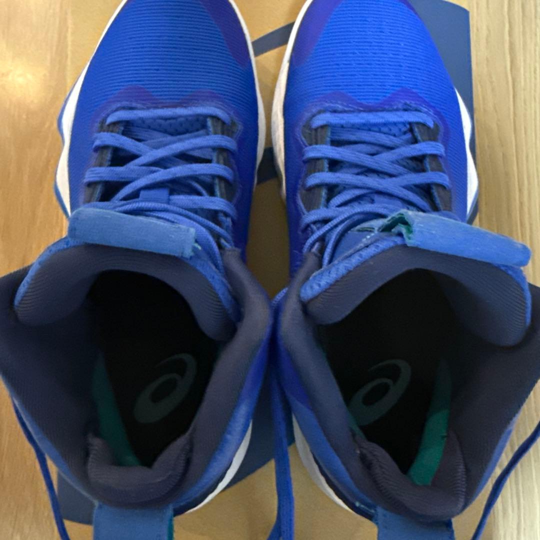 ⭐︎アシックスasics NOVA SURGE 2 ノバサージ2 青