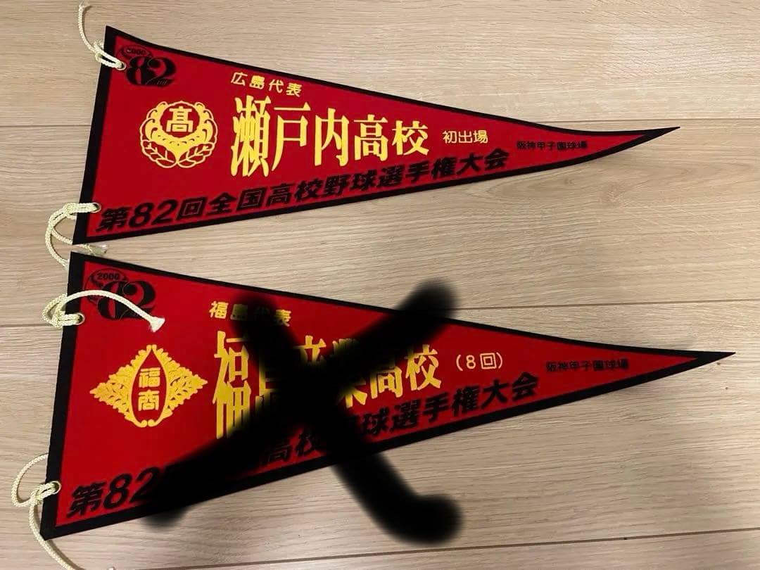 甲子園　校名入りペナント　計15枚　大阪桐蔭高校ほか
