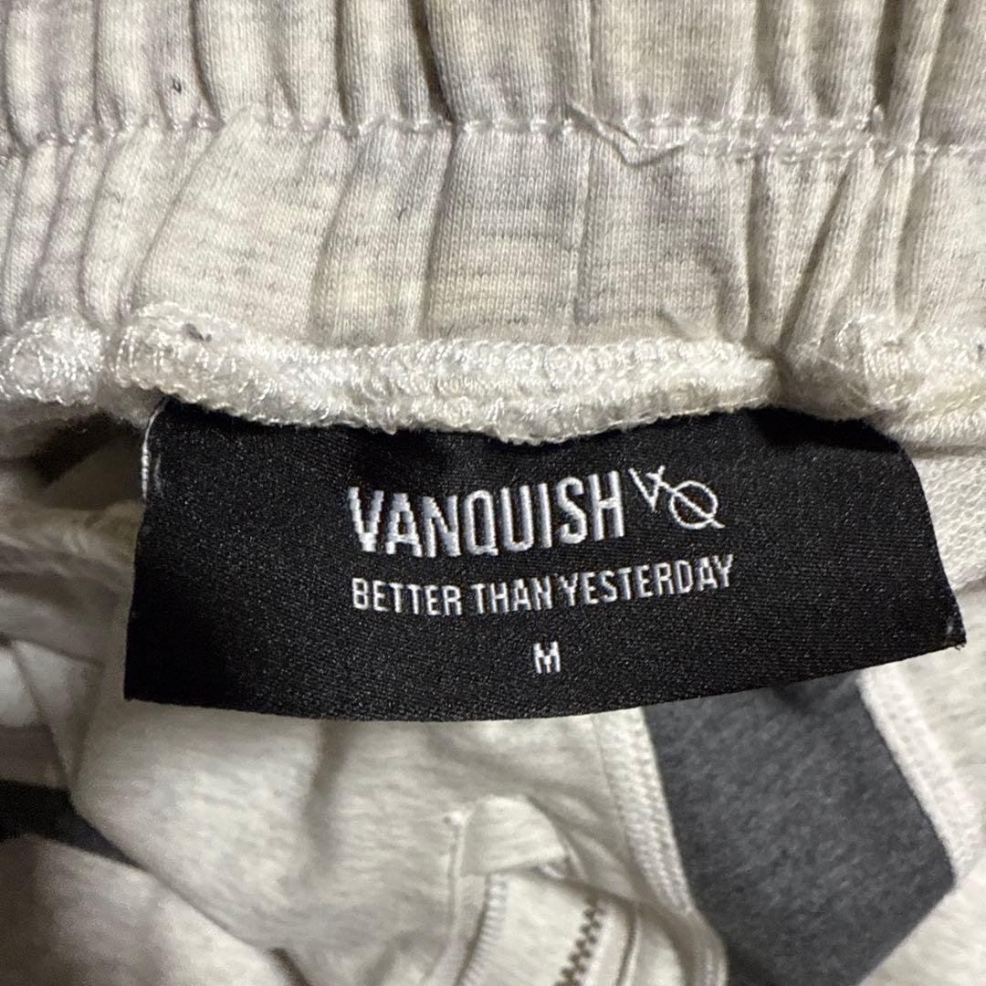 Vanquish fitness セットアップ