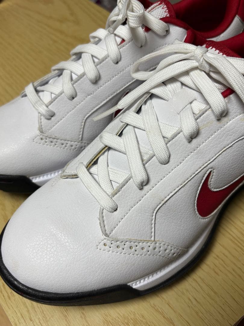Nike ゴルフシューズ 25cm・Nikeシューズバッグセット