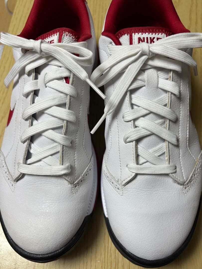 Nike ゴルフシューズ 25cm・Nikeシューズバッグセット