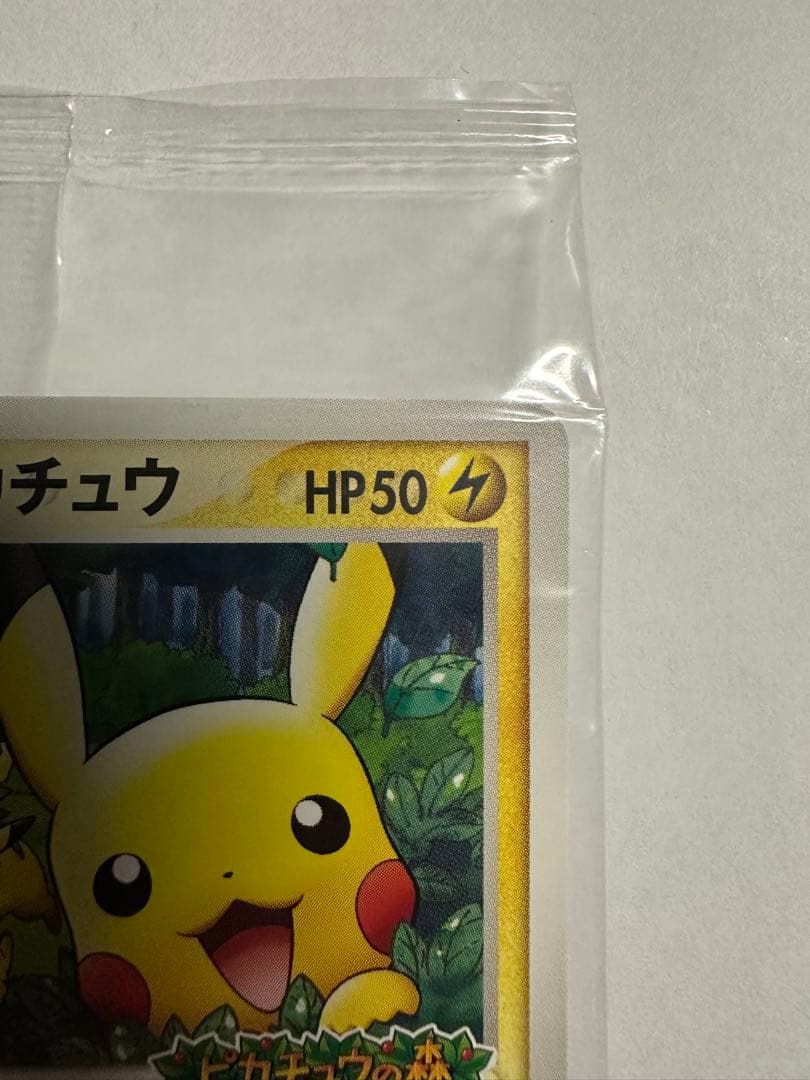 ポケパークのピカチュウ PROMO 043/PCG-P 未開封
