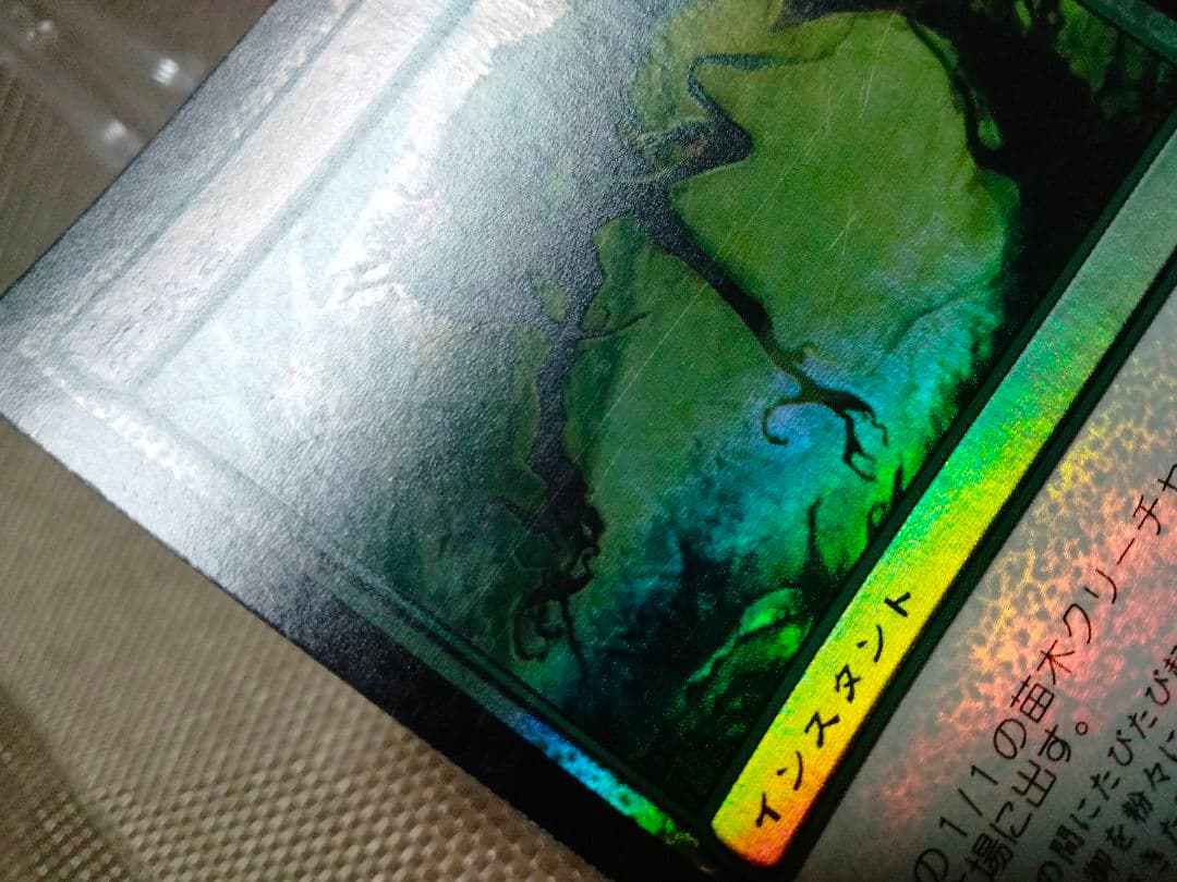 【ご確認用】時のらせん foil 芽吹きb 日本語 1枚　MTG