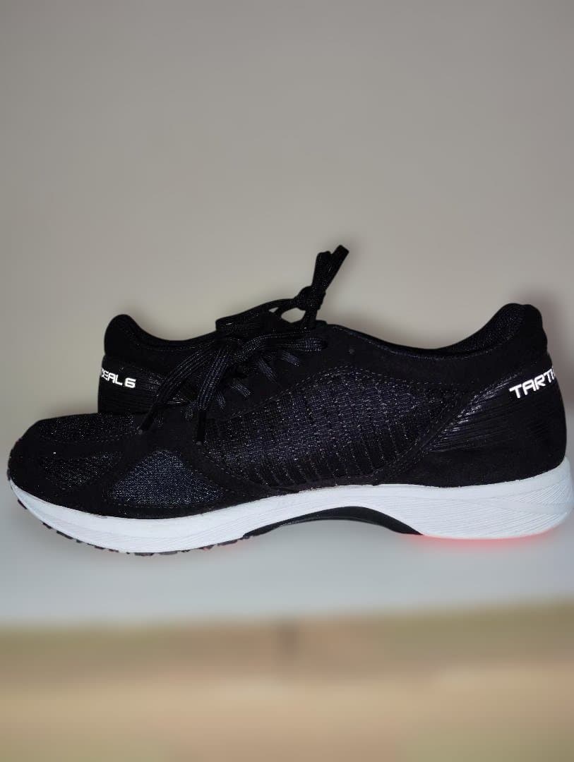 ASICS 27.5cm TARTHERZEAL 6 ターサージール 6