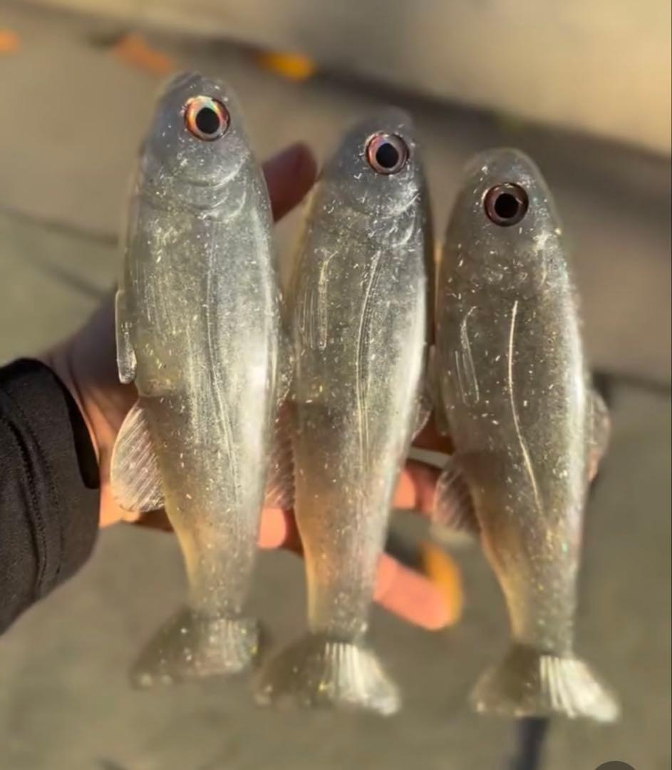 【日本未発売】West Coast Baits Roma Trout 9\" 新品
