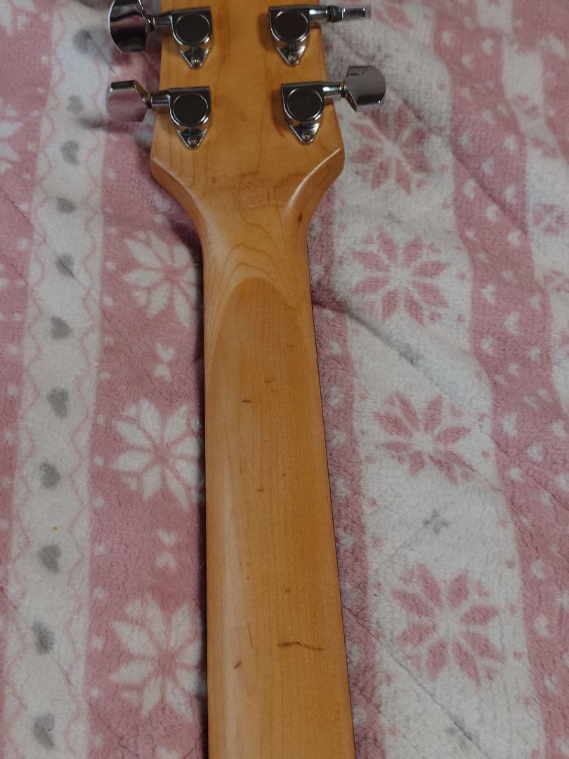 写真追加　B.C.Rich モッキンバード hide エレキギター
