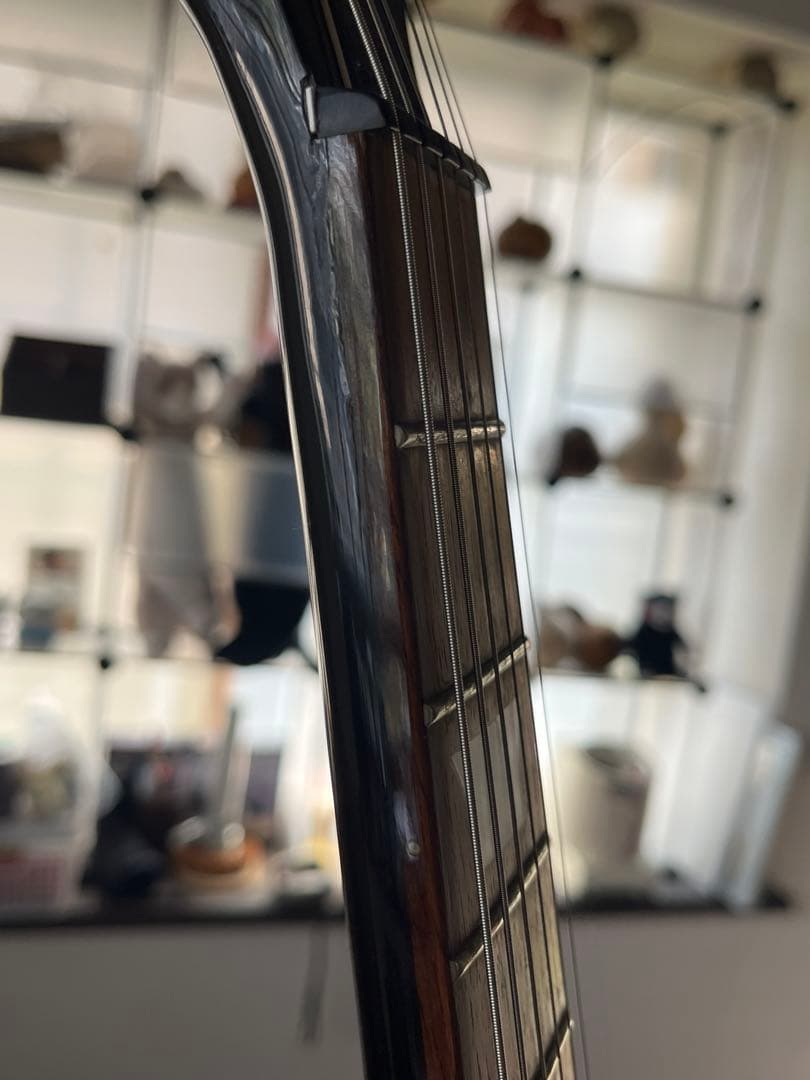 Epiphone SG Special＋ Roland GK-3 付き