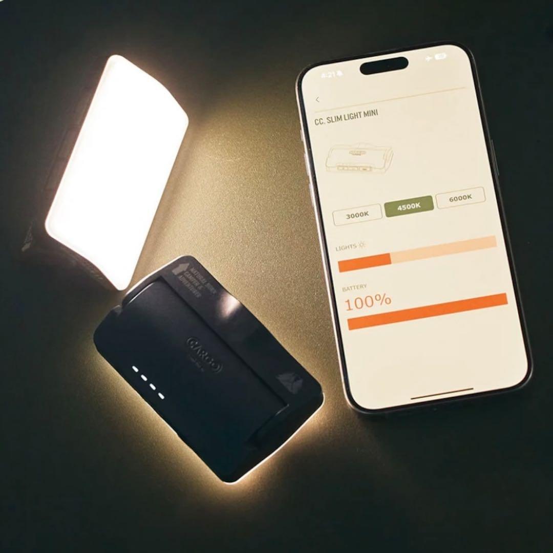 CC. SLIM LIGHT MINI カーゴコンテナ ライト キャンプ 小型