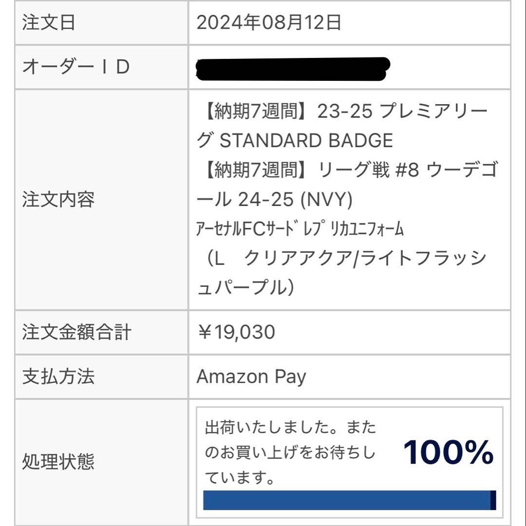 ウーデゴール　アーセナル　 24/25　3rd