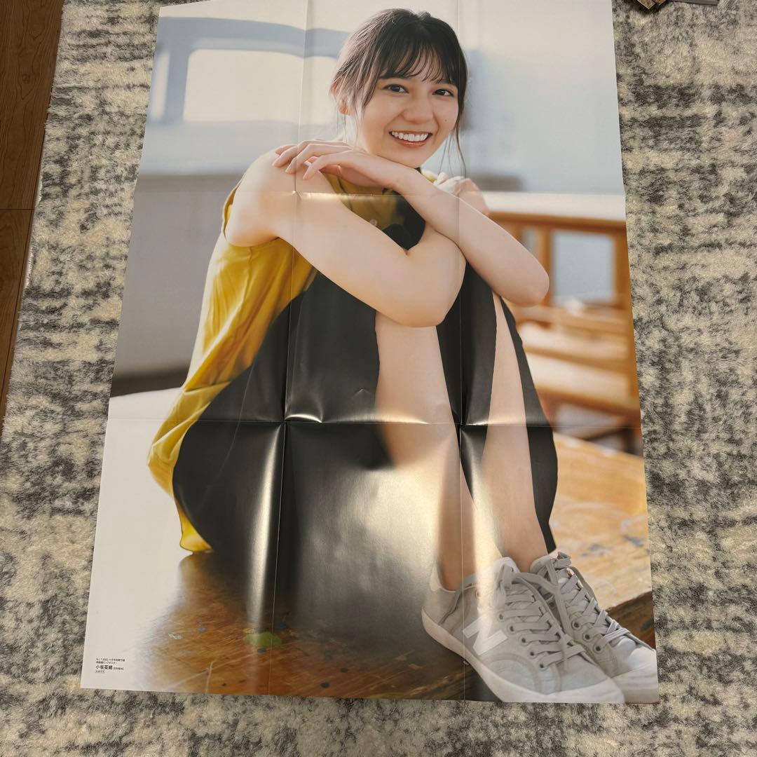 日向坂46 小坂菜緒　まとめ売り　写真集　生写真　ポストカード　タオル　アクスタ
