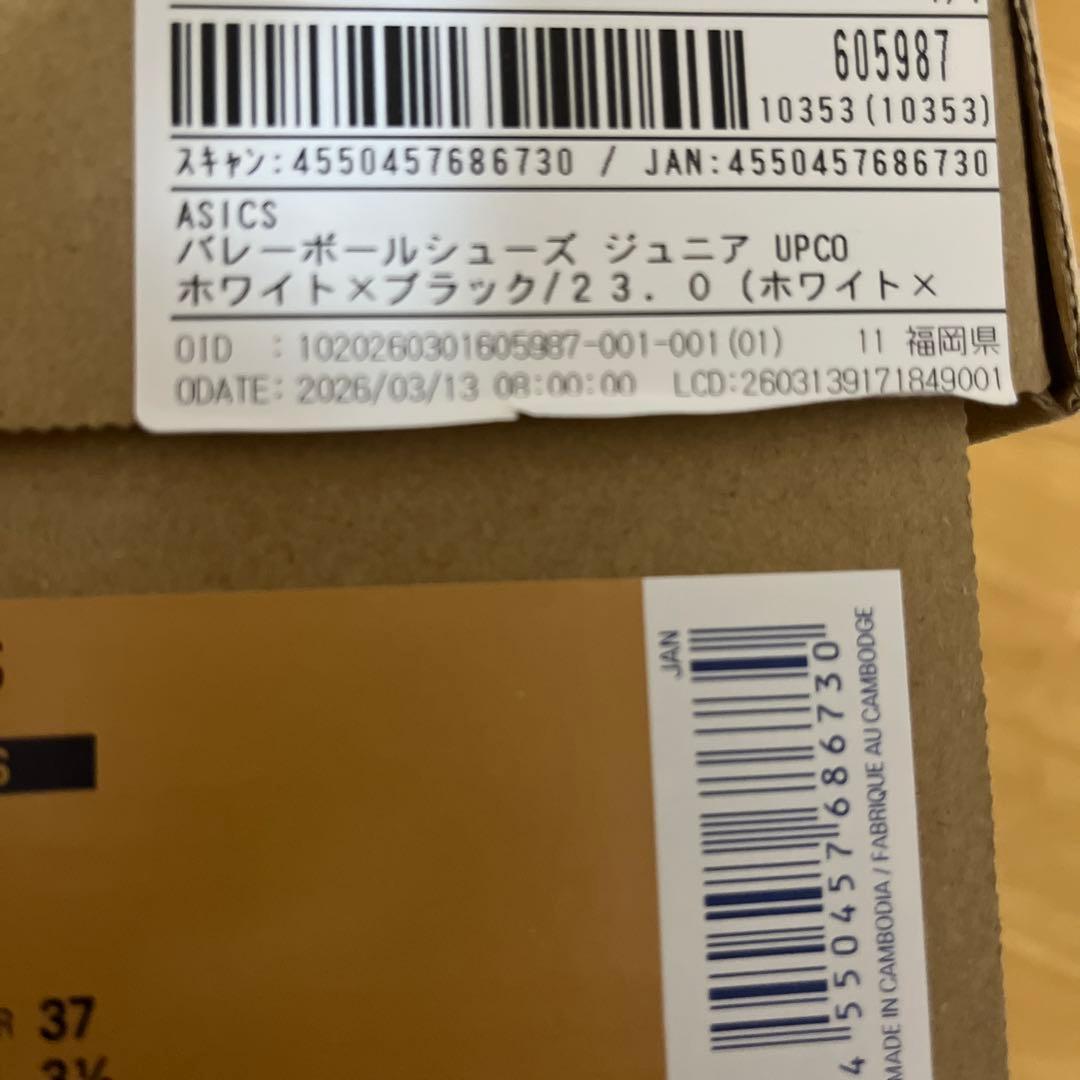ジュニア バレーボール シューズ アシックス23cm