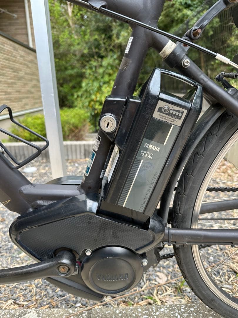 リアルストリーム　１５.４Ah(８速) 電動自転車　クロスバイク