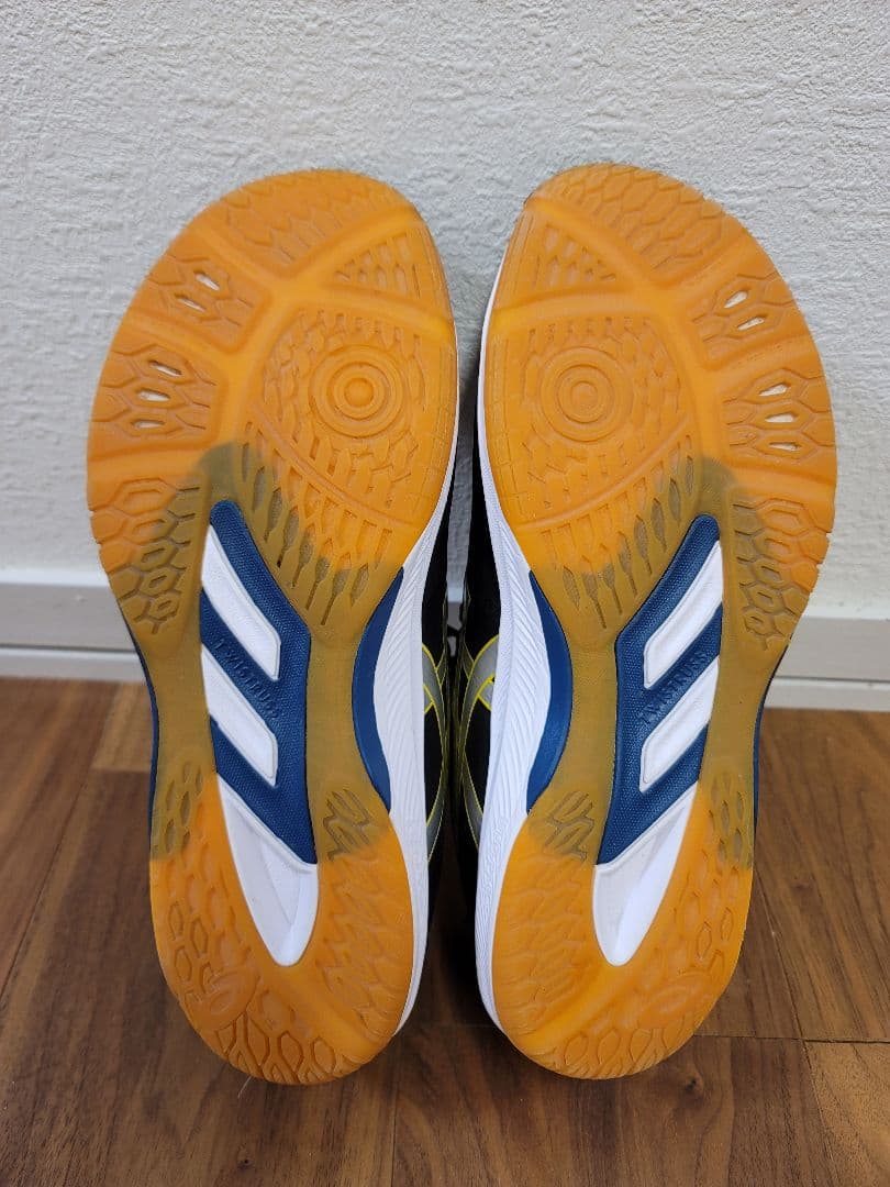 ASICS ローテジャパン 27.5cm