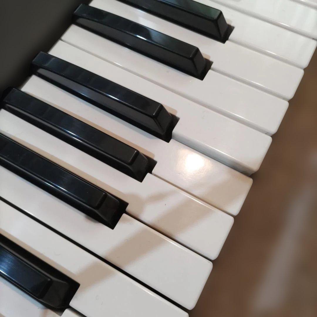 Roland U-20 RS-PCMキーボード /通電確認. ペダル、説明書付