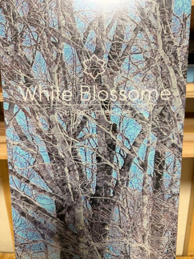 新品24-25 Whiteblossome Turning 160ソールカバー付