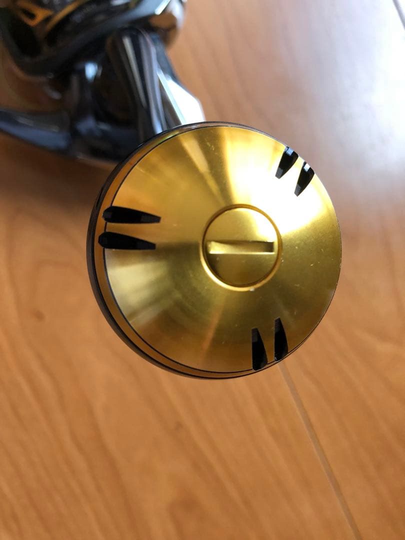 SHIMANO シマノ ステラSW 5000xg