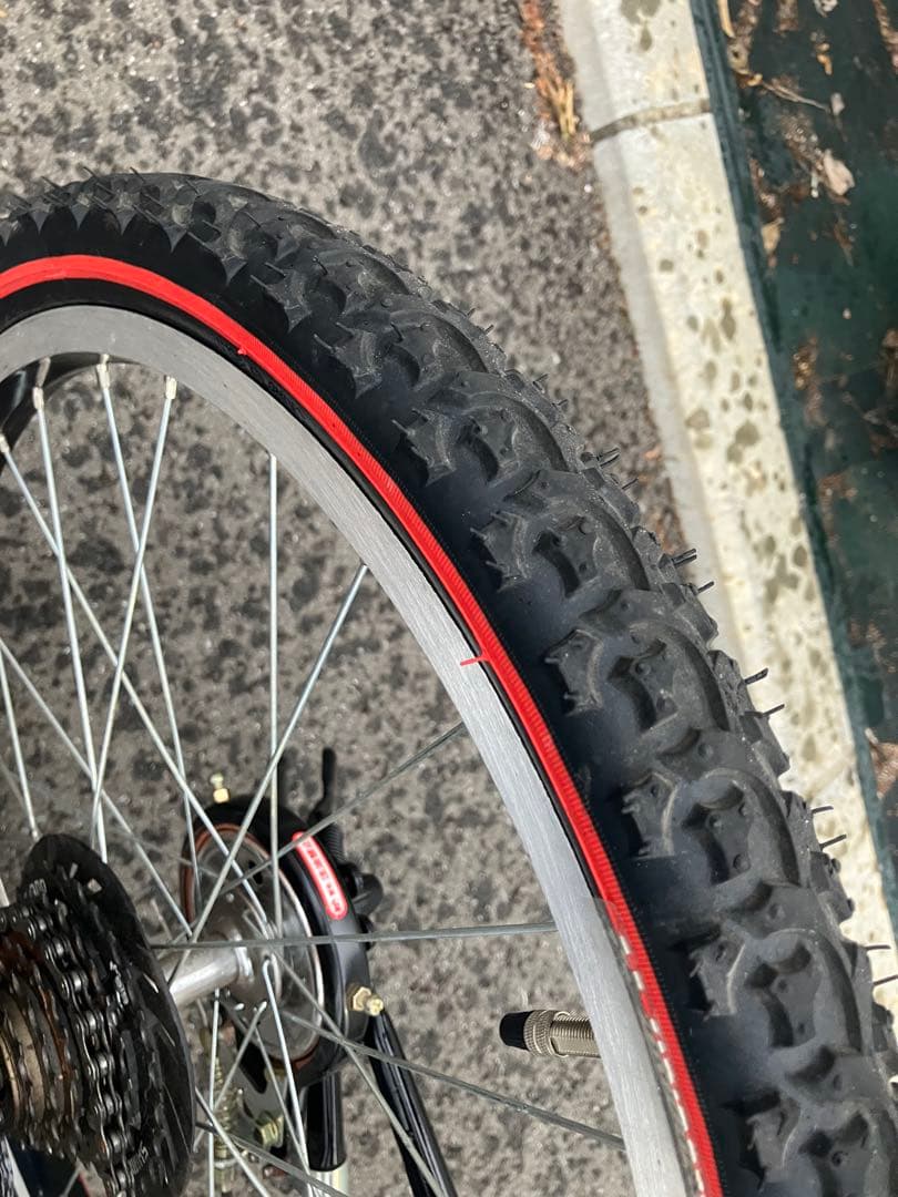 【美品　東京都】ブリジストン　エクスプレスジュニア　22インチ　自転車　子供