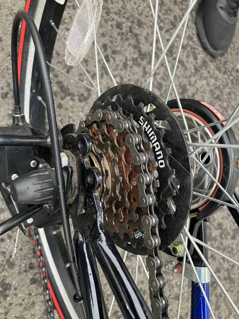 【美品　東京都】ブリジストン　エクスプレスジュニア　22インチ　自転車　子供