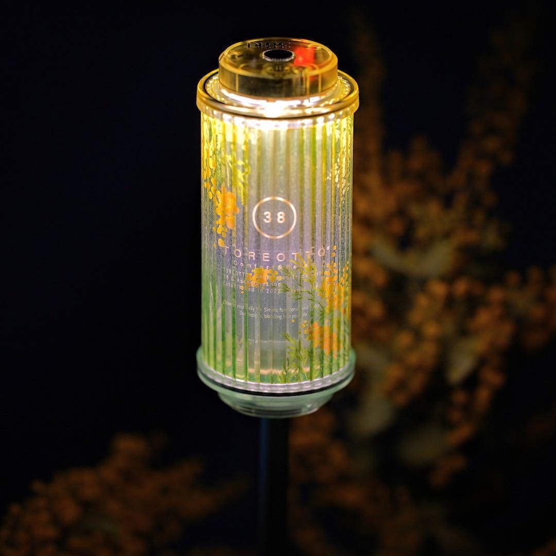 38explore　38-kT Mimosa Edition 2026 限定品
