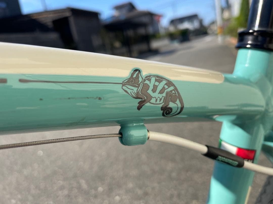 ビアンキ　カメレオンスポーツ