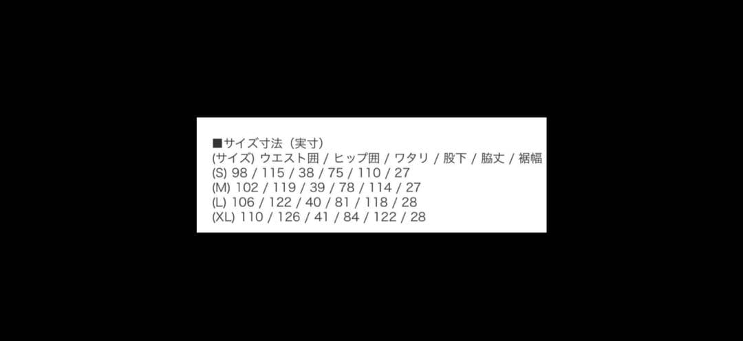 ノースフェイス フューチャーライト　FL RTG Bib ビブパンツ