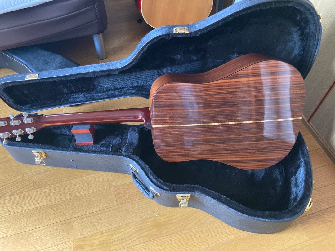 ギター cat's eyes CE 700S