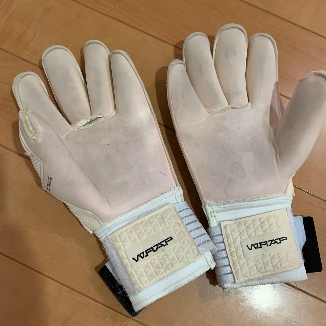 セルスキーパーグローブ