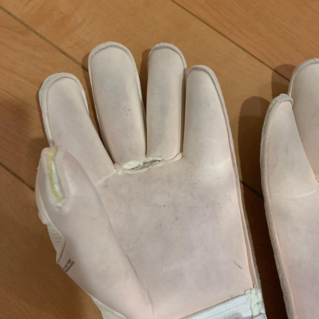 セルスキーパーグローブ