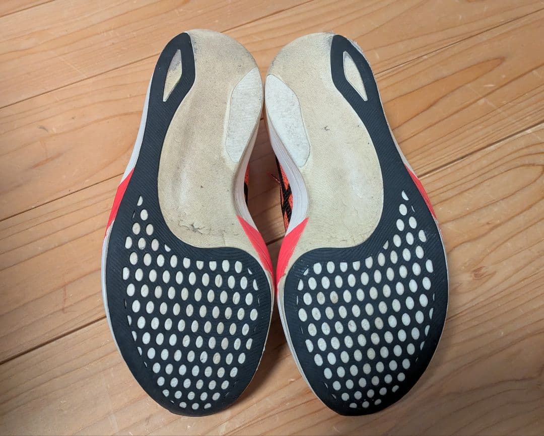ASICS SPEED EDGE 東京 25cm