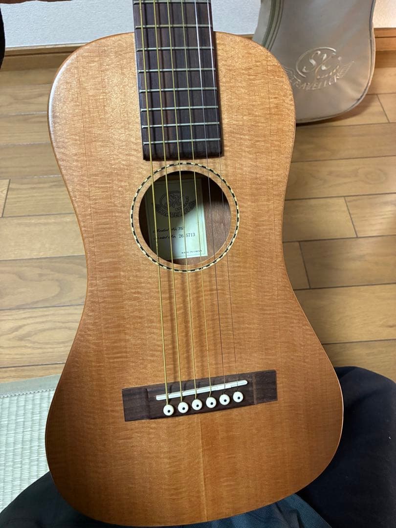 SX TRAVELLER TGI アコースティックギター