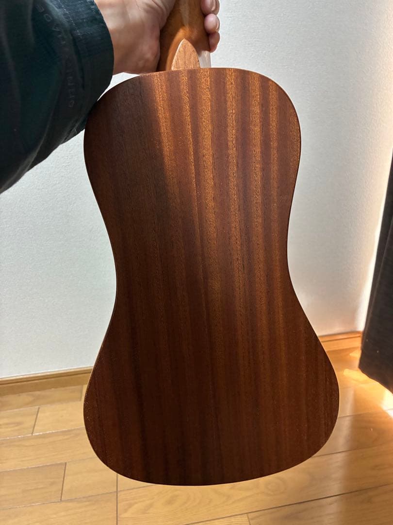 SX TRAVELLER TGI アコースティックギター