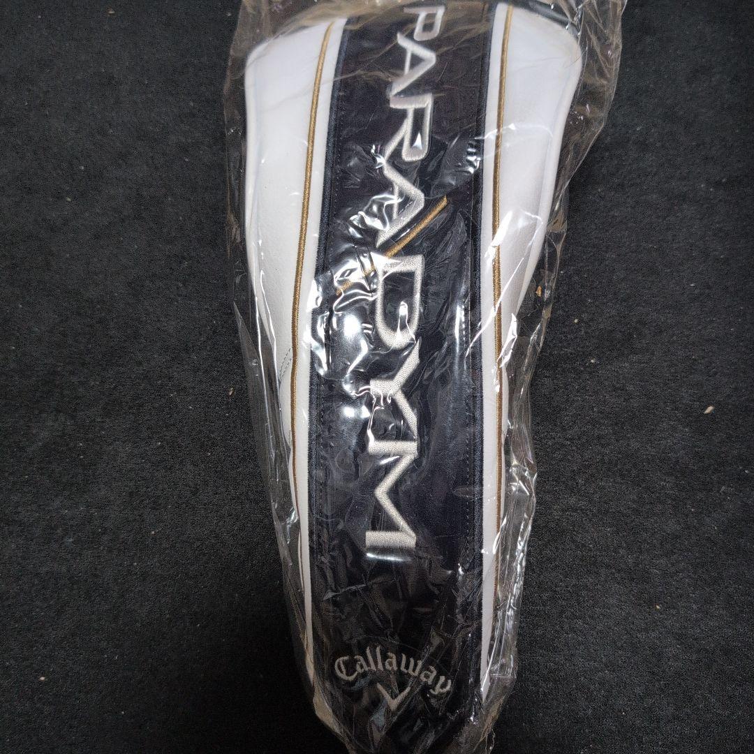 ⑳PARADYM TD 10.5 レフティ