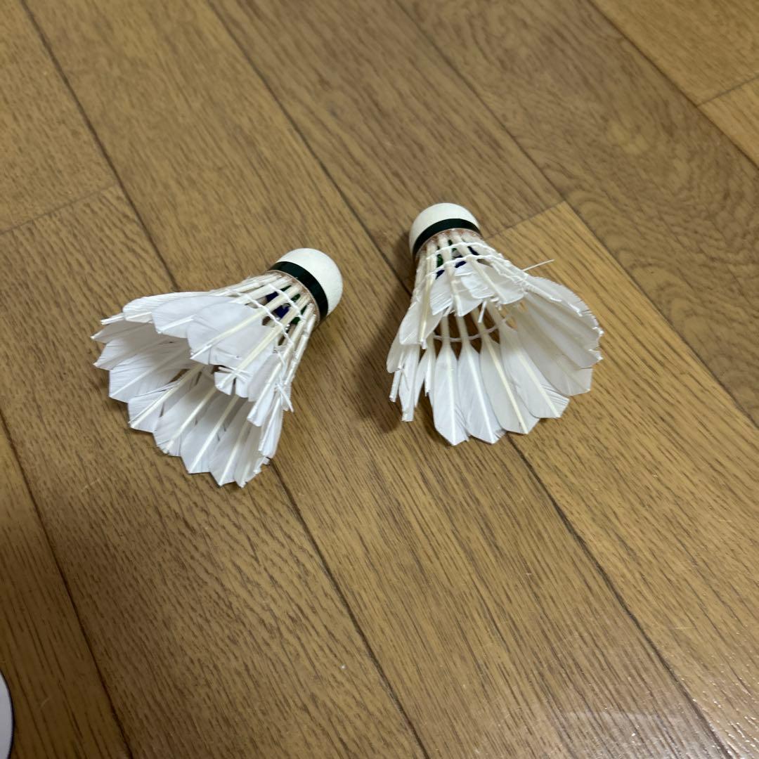 YONEX バドミントン 練習シャトル 10ダース