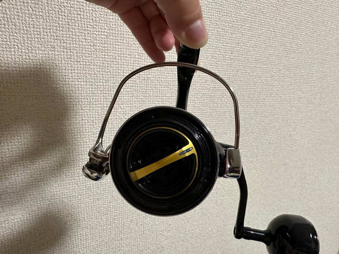 リール SHIMANO 20 STELLA SW 6000HG
