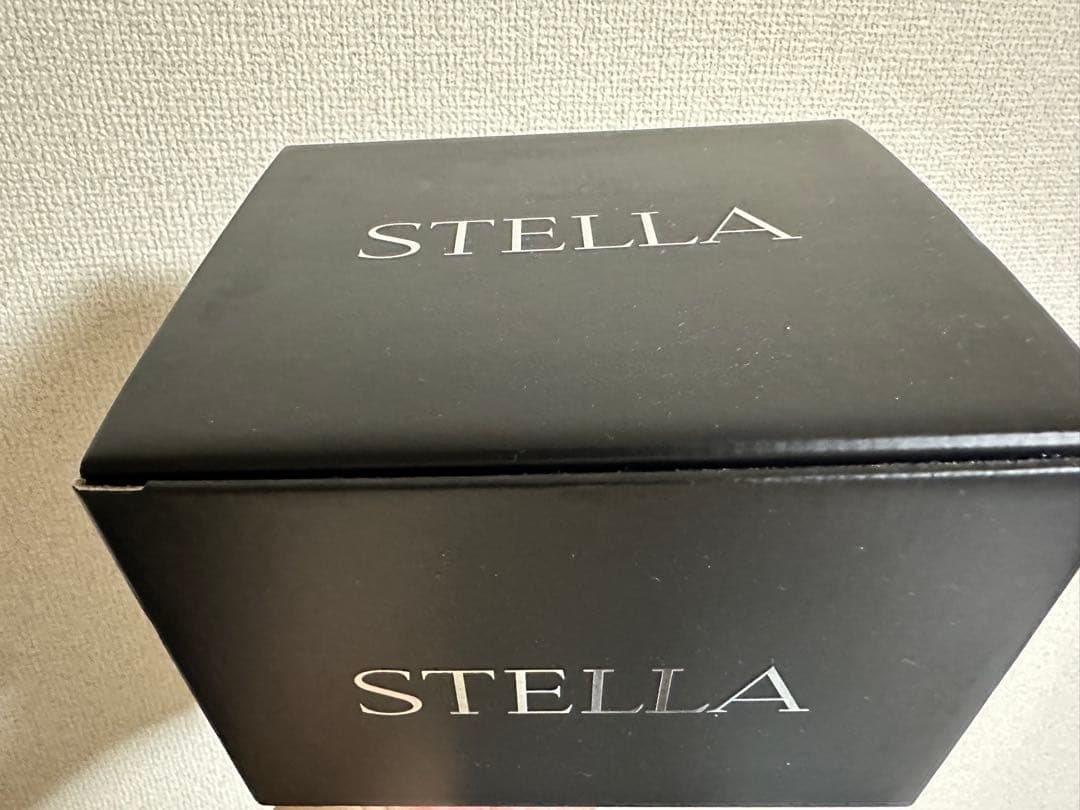 リール SHIMANO 20 STELLA SW 6000HG