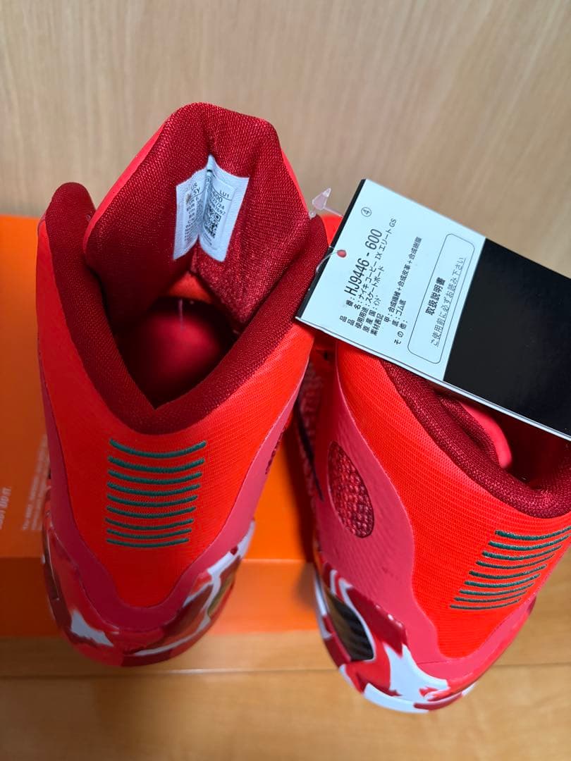 KOBE IX ELITE （GS）24.5センチ