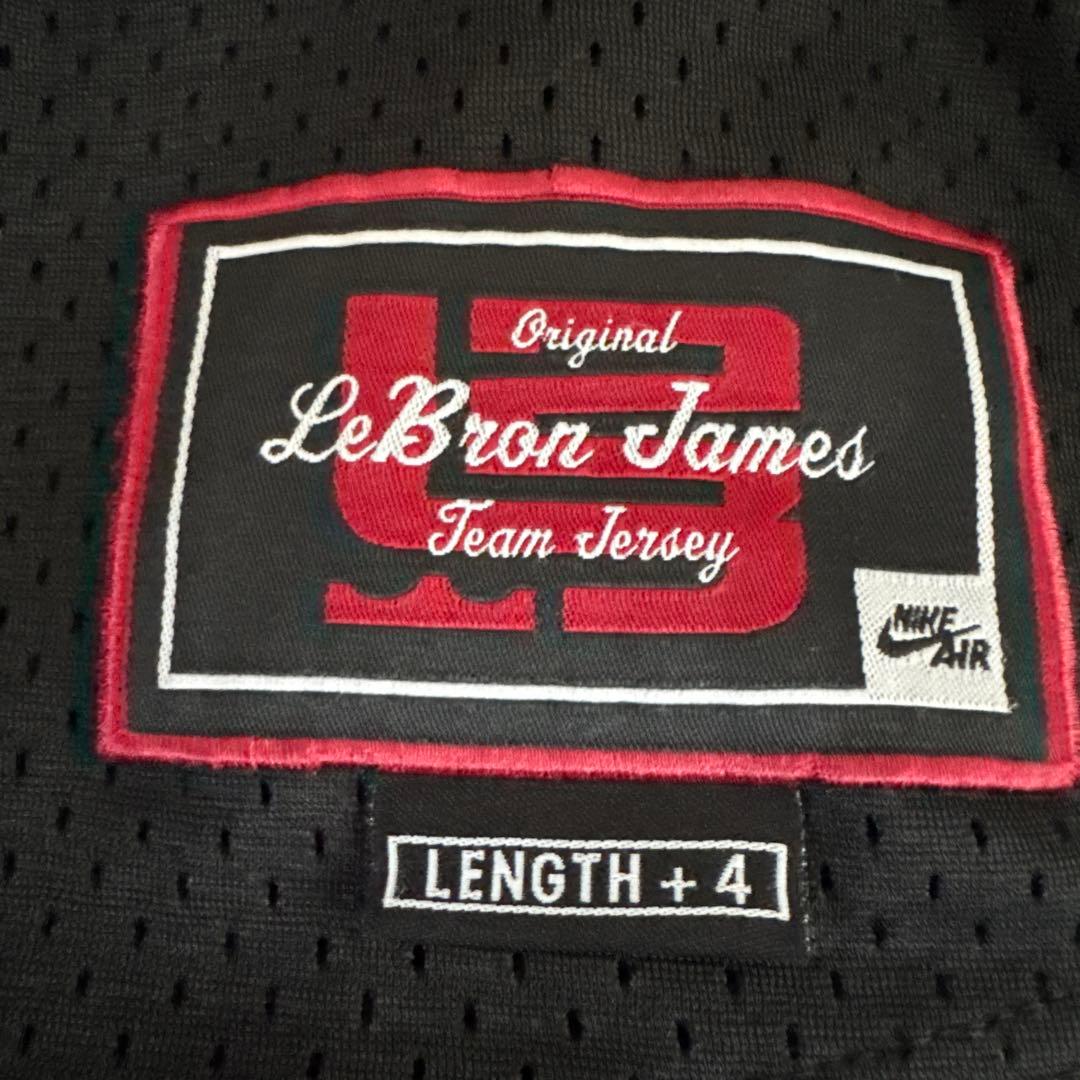 NIKE レブロン・ジェームス Ｌサイズ