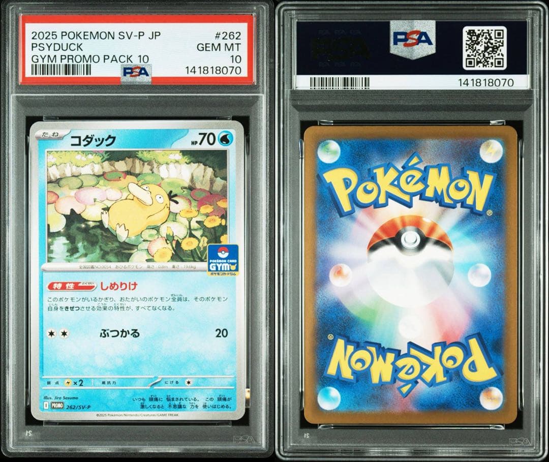 コダック #262 2025 POKEMON SV-P JP GYM PROMO