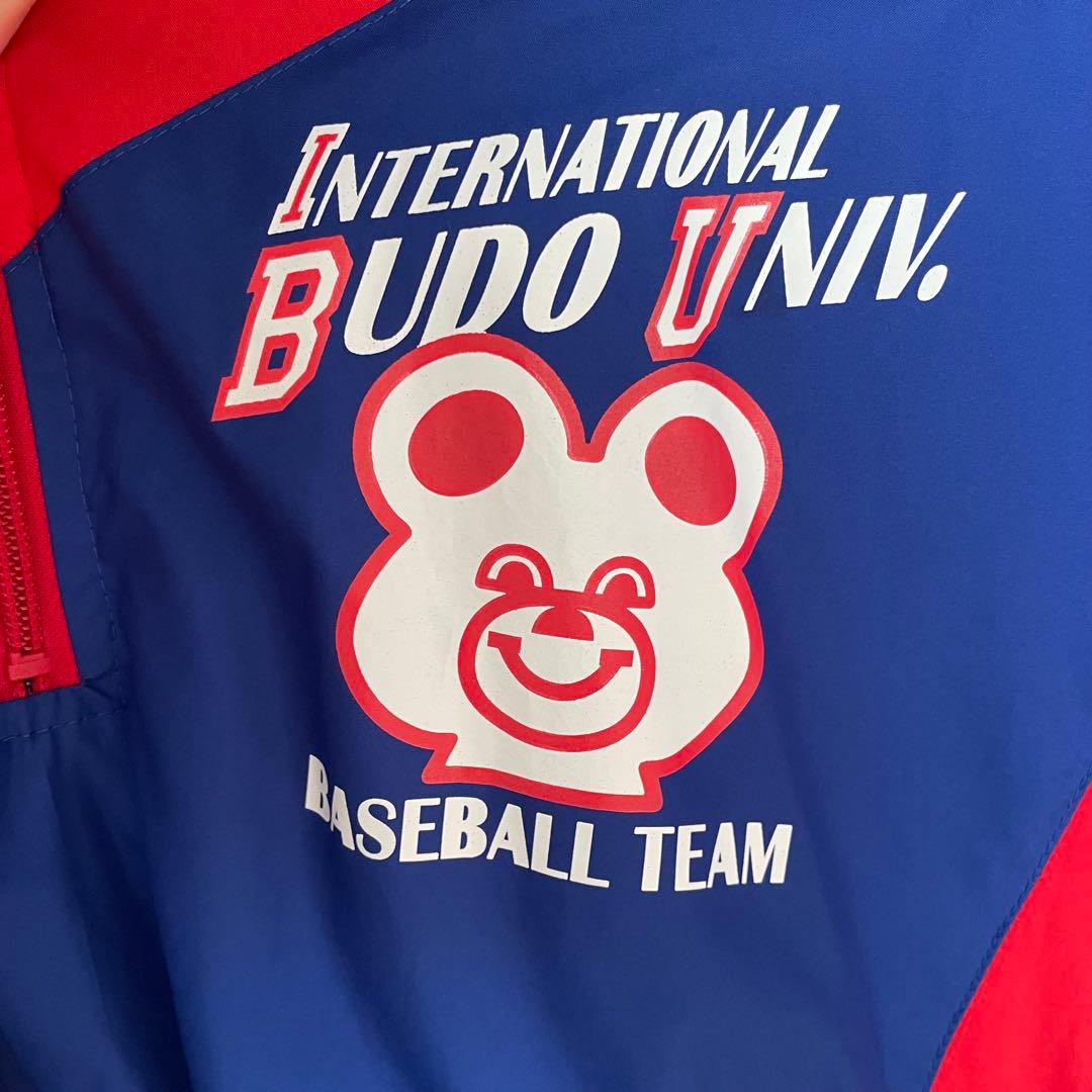 国際武道大学　ハーフジップ　ミズノプロ