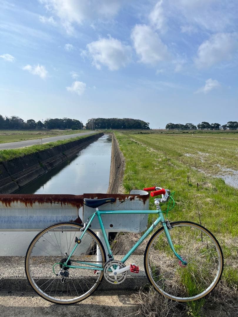 ブリヂストン　レイダック　700C