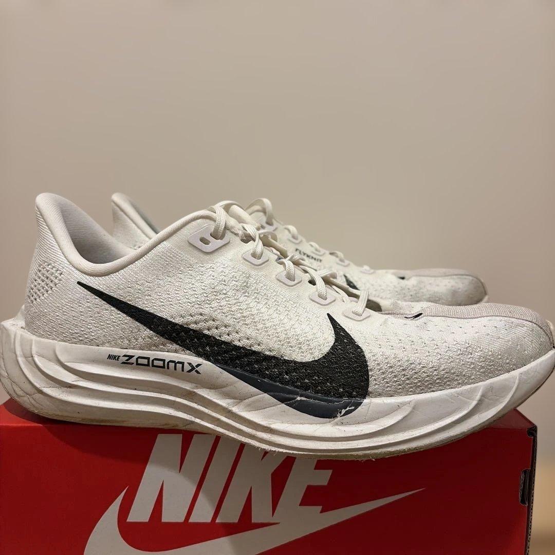 Y*a様 NIKE ペガサス プラス 28cm