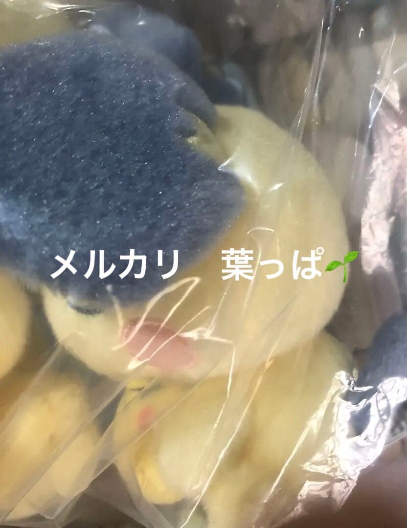 【最終価格】ポケモンセンター　ぬいぐるみ3点セット