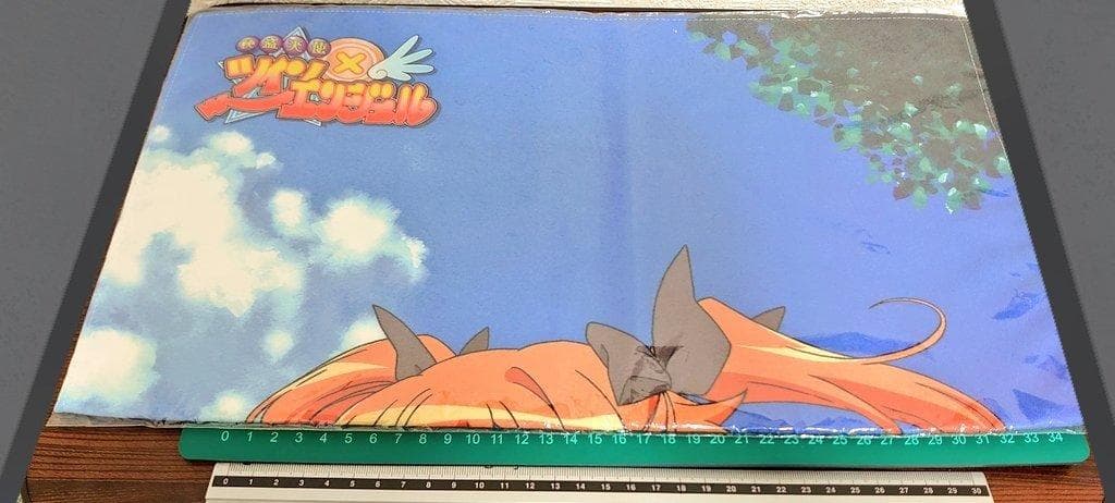 快盗天使ツインエンジェル 新品未開封 スポーツタオル 田村ゆかり 能登麻美子
