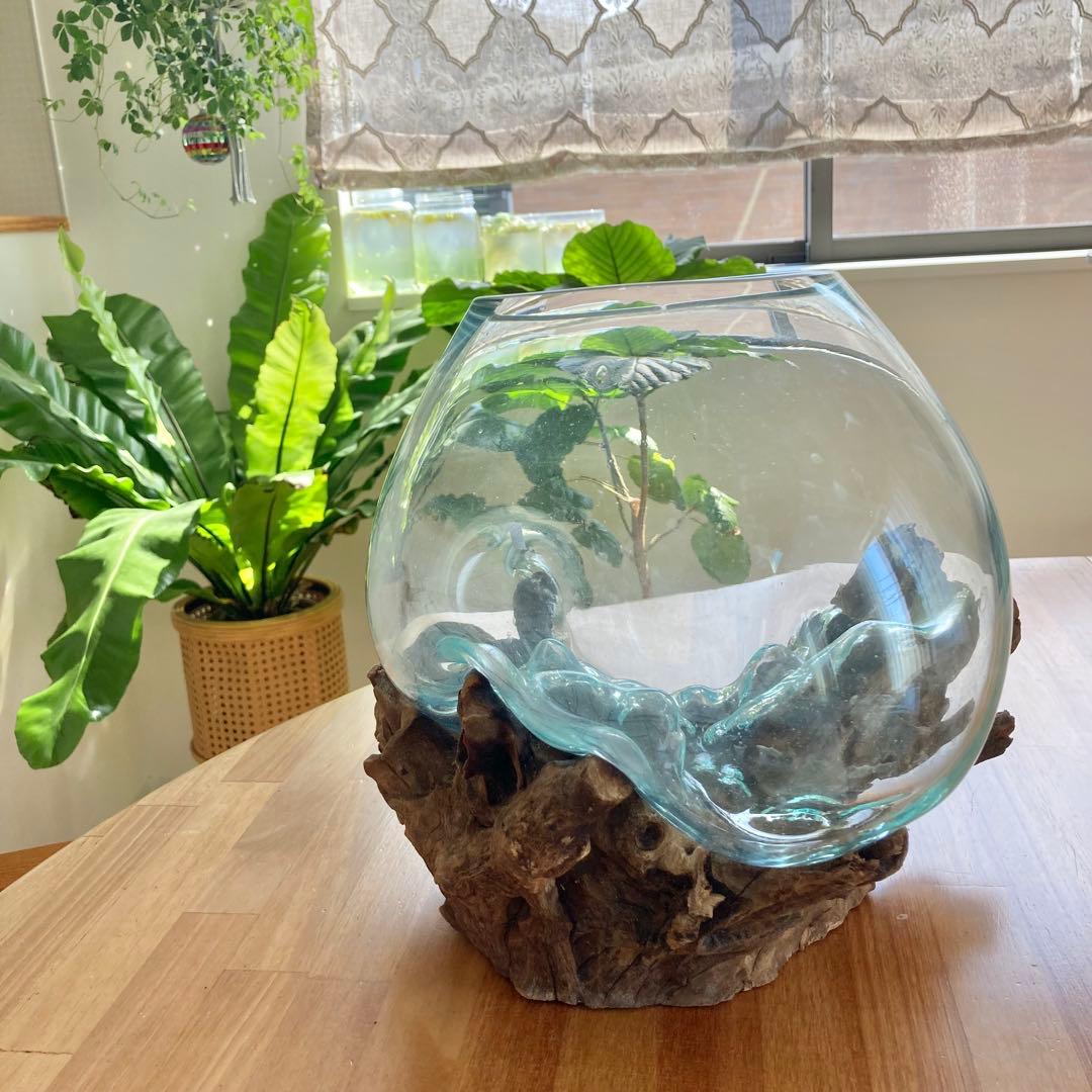 流木ガラス　フラワーベース　インテリア　バリ　アジアン　水槽