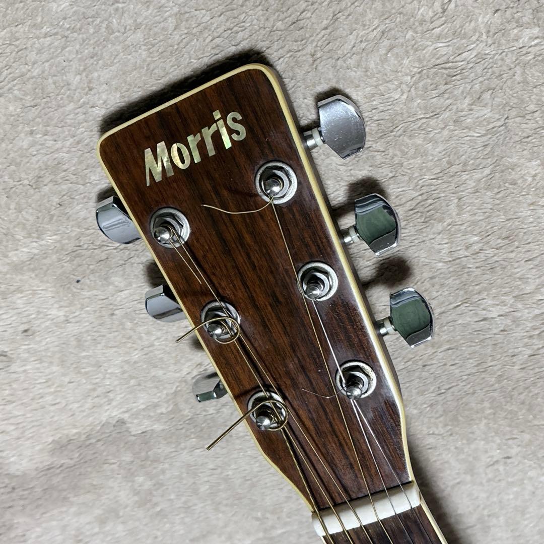 Morris MD-507TS アコースティックギター アコギ 楽器 モーリス