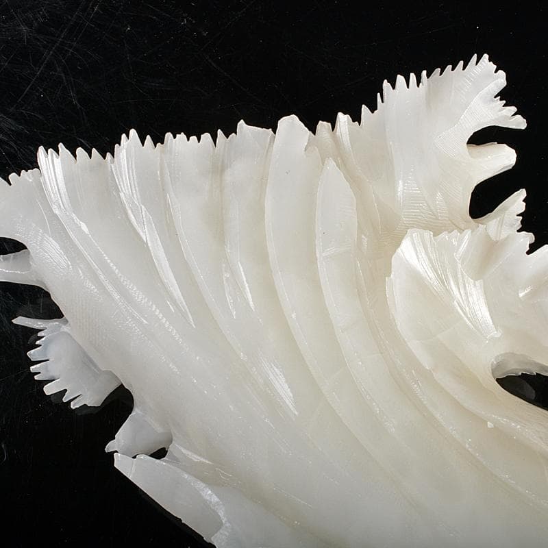 中国　玉石白玉彫刻　白菜　置物　V　R5727