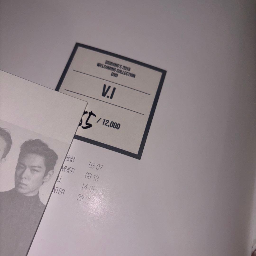 ミュージシャン BIGBANG 2015 WELCOMING COLLECTION DVD